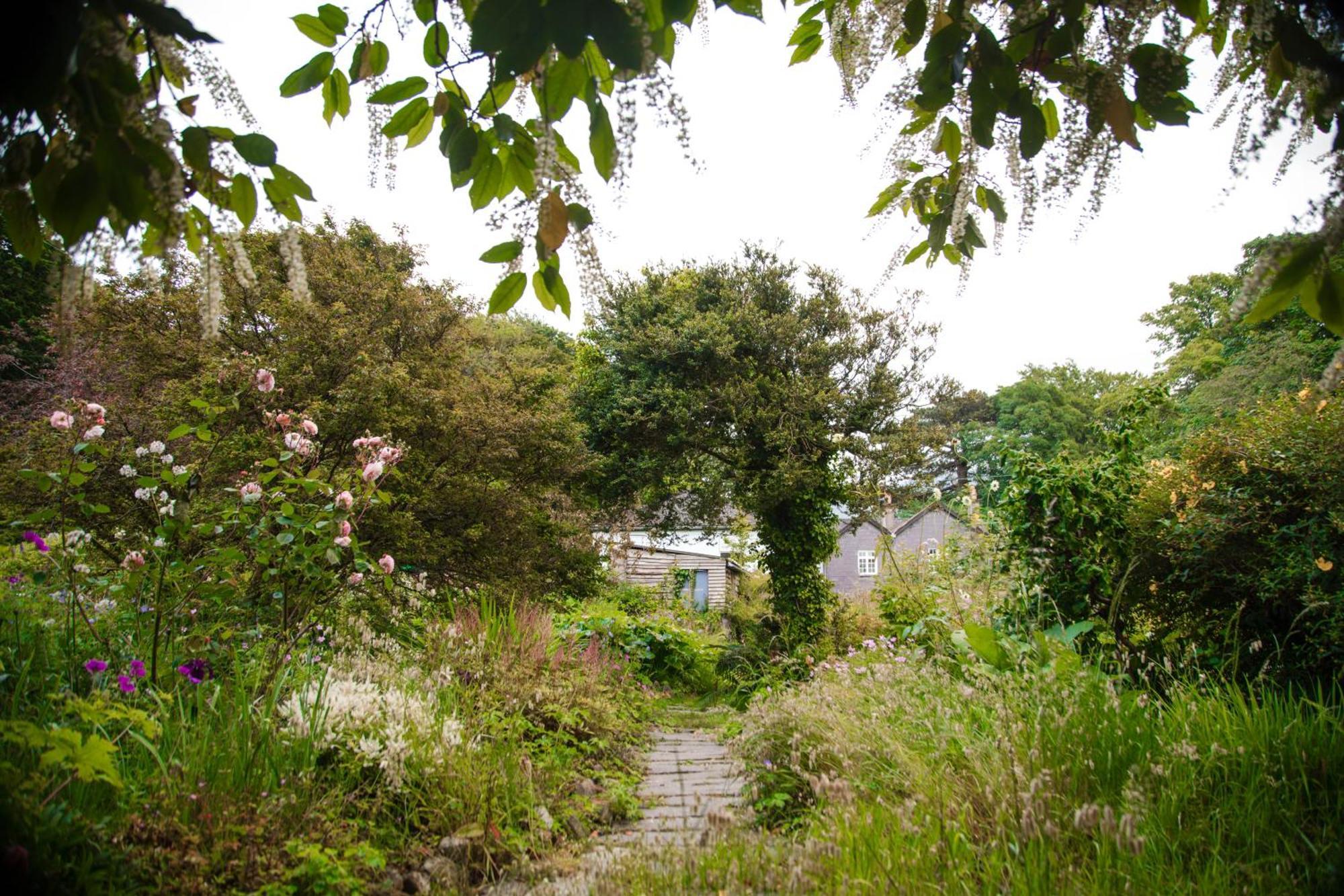 Trigonos - Quiet, Peaceful, Vegetarian B&B And Retreat Centre Nantlle Экстерьер фото