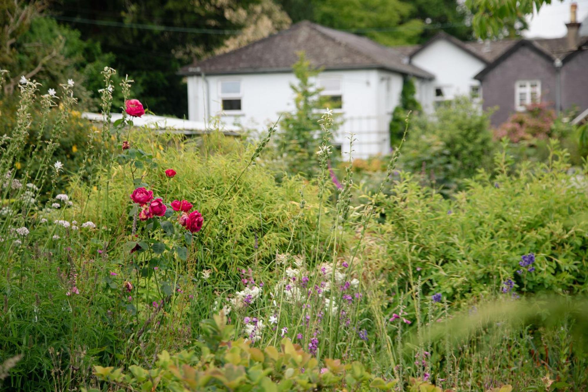 Trigonos - Quiet, Peaceful, Vegetarian B&B And Retreat Centre Nantlle Экстерьер фото